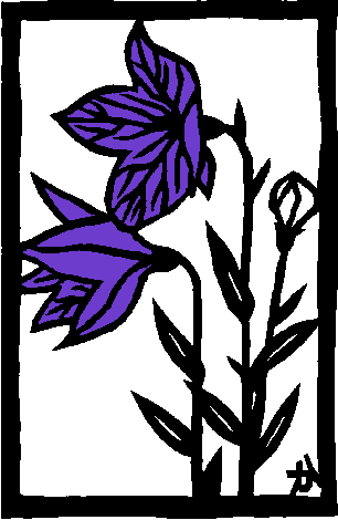 Chinese bellflower