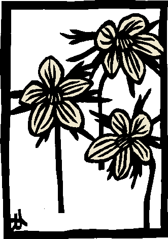 �Z�c�u���\�E