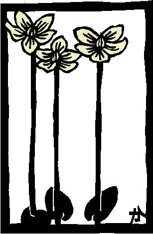 Eo`\E
