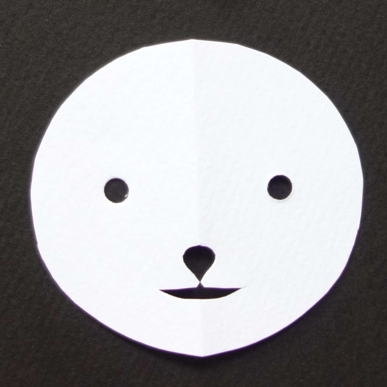 Seal baby