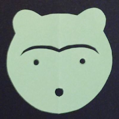 Racoon dog