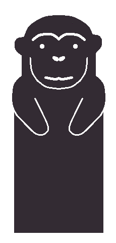 Chimpanzee