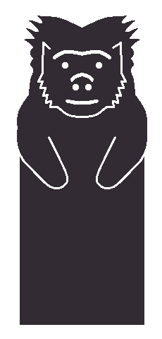 Tufted capuchin