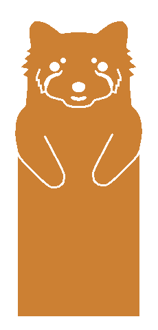 Lesser Panda