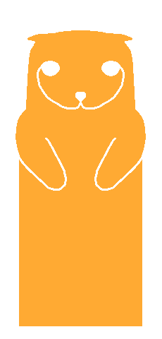 Scottish Fold
