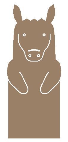 Donkey