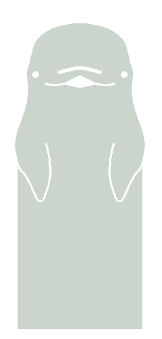 Finless Porpoise
