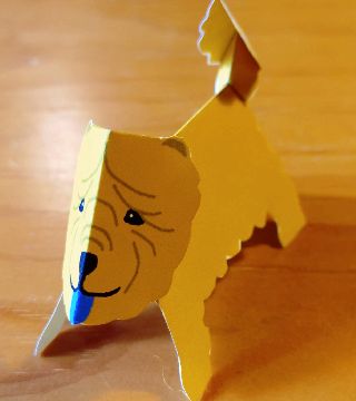 paper dog, Chow Chow