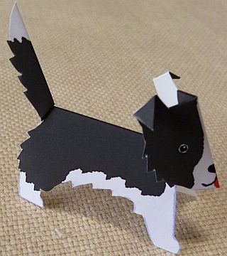 paper dog, Border Collie