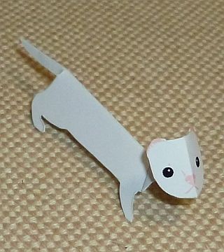 paper animal, Ferret black-eyed white