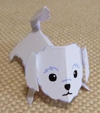 paper dog, Maltese