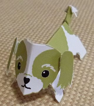paper dog, Shih tzu