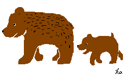 Bear