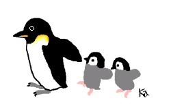 Penguin