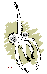 Gibbon