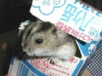 A̔