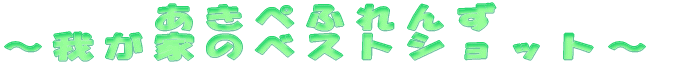 䂪Ƃ̃xXgVbg 