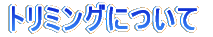 �g���~���O�ɂ���