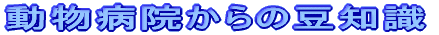 �a�@����̒��