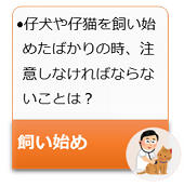 仔犬や仔猫を飼い始めたばかりの時、注意しなければならないことは?