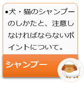 犬・猫のシャンプーの仕方と、注意なければならないポイントについて。