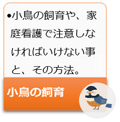 小鳥の飼育や家庭介護で注意しなければいけない 事と、その方法。