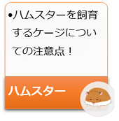ハムスターを飼育するケージについての注意点!