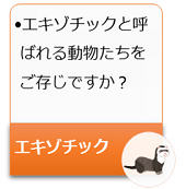 エキゾチックと 呼ばれる動物たちをご存じですか?