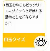動物の目玉いろいろ どの動物の目玉かわかるかなクイズ!