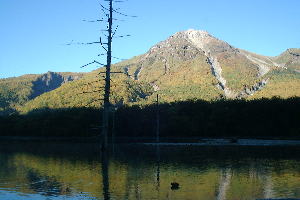 �吳�r����Ċx��]��