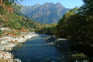 �c�㋴����