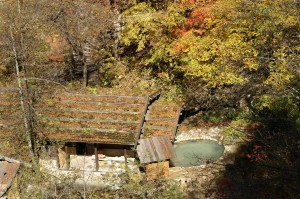 ���ꂽ������ی���