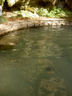 �I�V���C�̂�