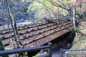 �ۂނ�����V���C�̉���