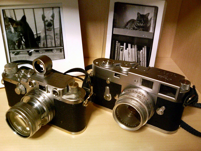 �}�C���C�JM2