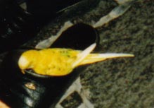 ����������`�[