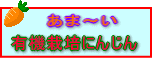 あまい有機栽培にんじん