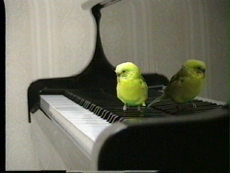 piano2.1.jpg