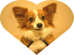 �^�������������l�͎ʐ^���N���b�N���Ă݂܂��傤