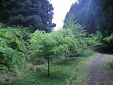 04050205.jpg