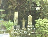 dsc094.jpg