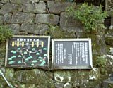 dsc095.jpg