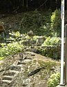 dsc099.jpg