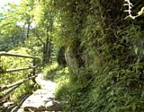dsc103.jpg