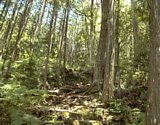 dsc104.jpg