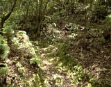 dsc105.jpg