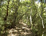 dsc106.jpg