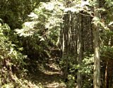 dsc107.jpg