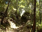 dsc108.jpg