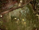 dsc109.jpg